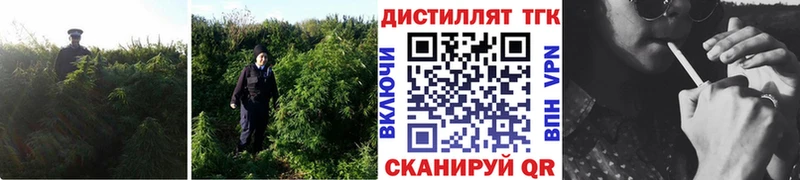 цена   Людиново  Дистиллят ТГК жижа 