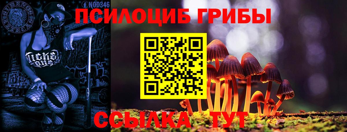 Галлюциногенные грибы мицелий  Вход с VPN  Людиново 