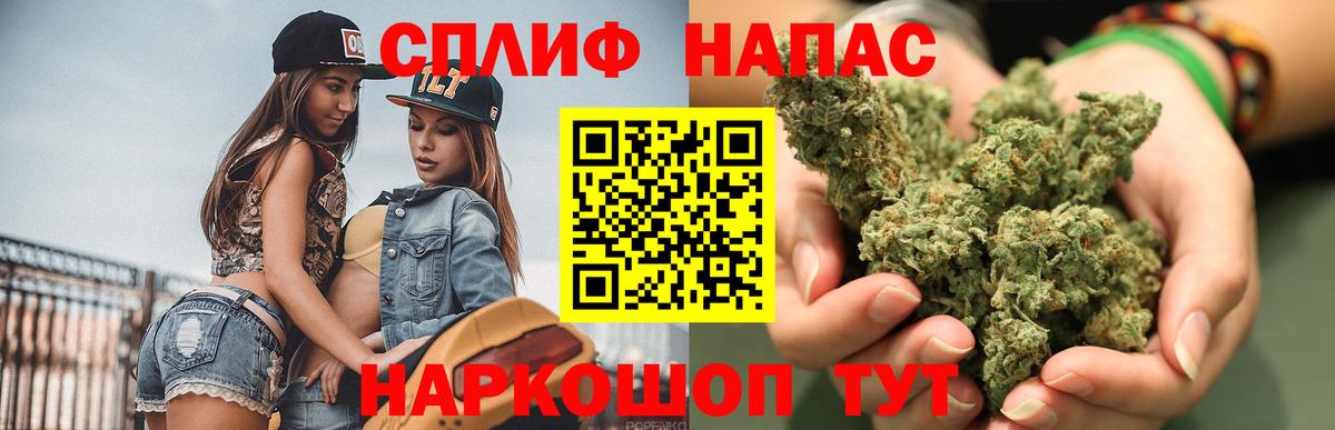 Марихуана сатива  Марихуана сатива  Каннабис план  Вход с VPN  Людиново 